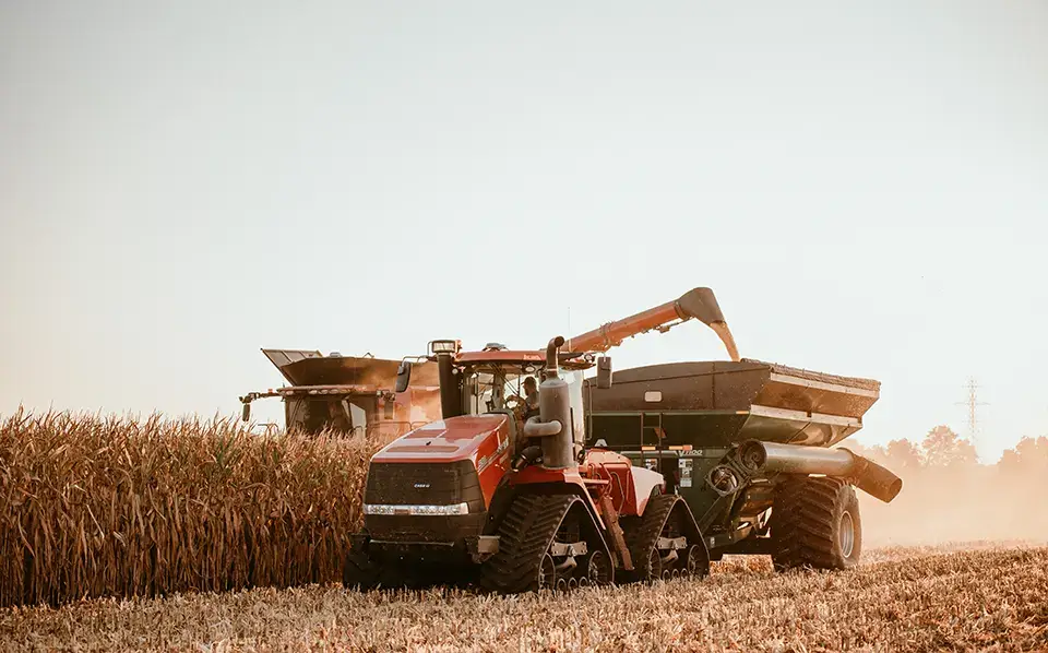 Wheat Harvest
