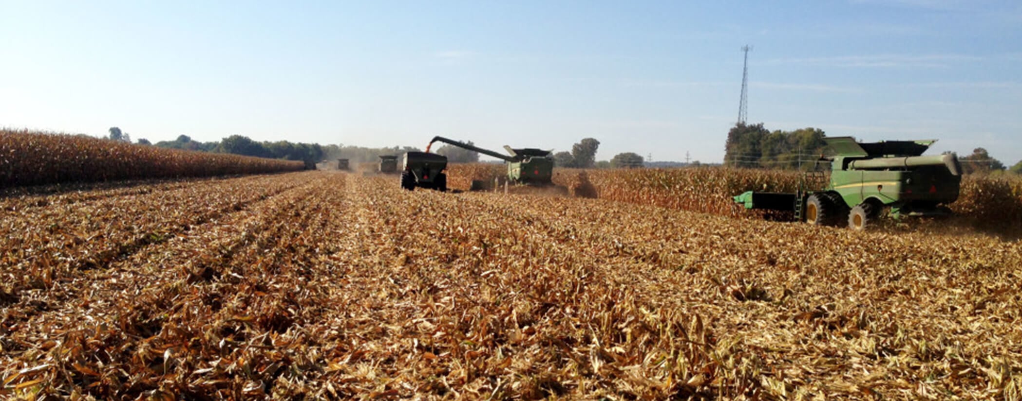 Photo of harvesters in field