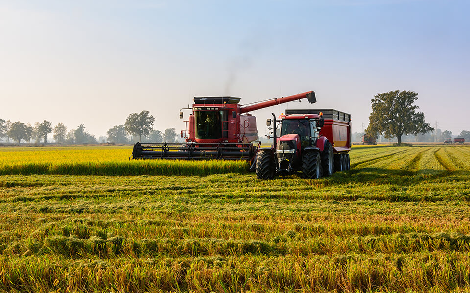 harvesting a field